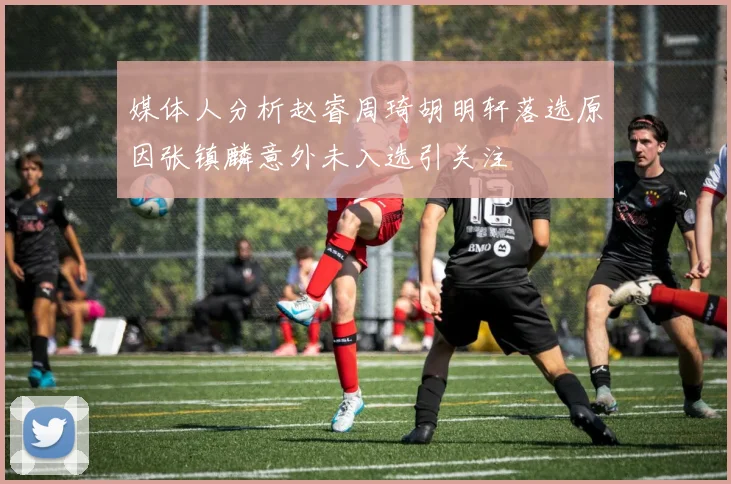 媒体人分析赵睿周琦胡明轩落选原因张镇麟意外未入选引关注